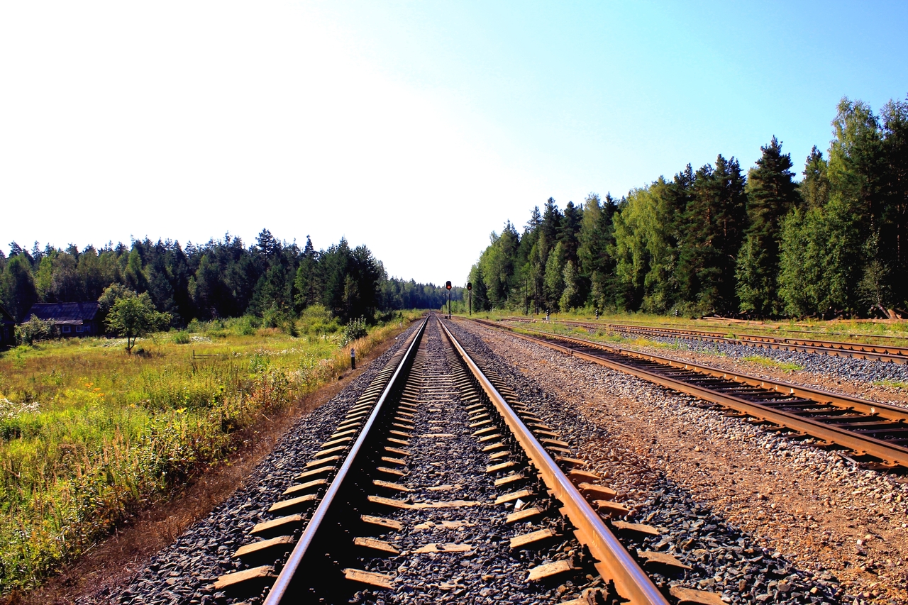 Cover Image 3