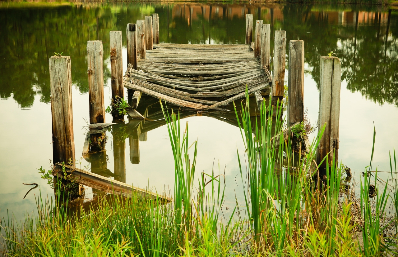 Cover Image 5